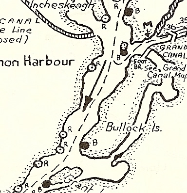 Bullock Island-River Shannon-(c)RJS